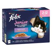 12x85g Felix "Aussi bon que beau" Junior sélection mixte - Pâtée pour chat