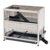 Cage en bois Ferplast Cottage Indoor Home pour lapin et cochon d'Inde - blanc : L 107,5 x l 67,5 x H 102 cm