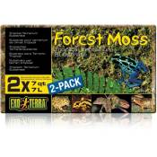 Exo Terra - forest moss 2 X 7 L