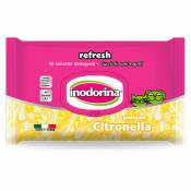 Inodorina - Essuyez la citronnelle inodorine 40 UDS