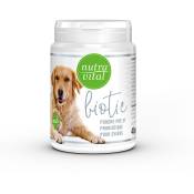 Nutravital - Prébiotique et Probiotique pour chiens, 40 g