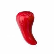 Planet Dog Orbee-Tuff Chili Pepper by Planet Dog