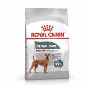 Royal Canin Medium Dental Care - Croquettes pour chien-Medium