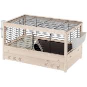 Arena 80 Cage en bois de pin nordique fsc pour cochons