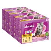 Mégapack Whiskas Junior 48 x 85 g pour chaton - Sélection