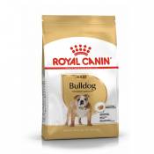 Royal Canin Boulldog Anglais Adult (Bulldog) - Croquettes