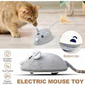 Souris chat jouets interactif Teaser jouet plume automatique