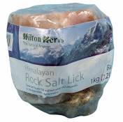 Hilton Herbs - Pierre à sel de l'Himalaya 1 kg