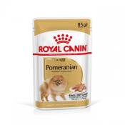 Royal Canin Pomeranian Adult (Spitz Nain) - Pâtée