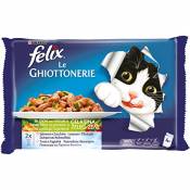 Felix Le Ghiottonerie Chat avec Saumon et sucriches