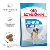 Royal Canin Giant Junior - Croquettes pour chiot-Giant Junior