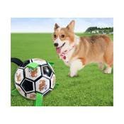Boule indestructible pour chien boule indestructible pour chien boule interactive pour chien jouant à l'intérieur et à l'extérieur, envoyant une