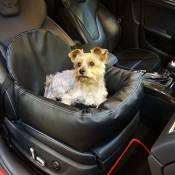 Knuffliger Leder-Look Autositz für Hund, Katze oder