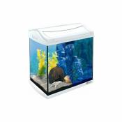 244894 AquaArt Aquarium en kit Complet avec led Blanc 30 l - Tetra
