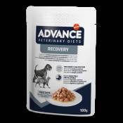 Aliments pour chiens à teneur en eau élevée 100 gr Advance
