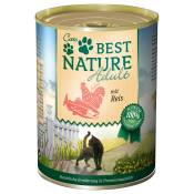 Best Nature Adult 6 x 400 g pour chat - saumon, poulet,