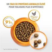 IAMS Vitality Croquettes Super Premium Chatons - Au poulet frais - Sans OGM colorant arome artificiel - 10 kg