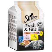 Sheba Délices du jour - Fresh & Fine 6 x 50 g pour