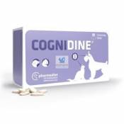 Cognidine 60 Comprimés 60 Comprimidos Farmadiet