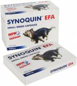 Synoquin Joint Chondroprotector pour Petits Chiens