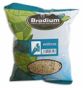 Bradium Mélange Perruche-Exotique 4Kg (Grande Taille) 4 KG Bradium