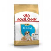 Royal Canin Bulldog Anglais Puppy - Croquettes pour