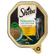 22x85g Sheba Nature's Collection en sauce dinde - Pâtée