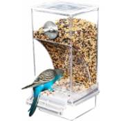 Mangeoire Automatique pour Oiseaux, Mangeoire en Plastique Acrylique Grande Capacité pour Oiseaux, Abreuvoir Automatique pour Perroquets, Accessoires