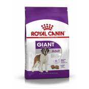 Royal Canin - Croquettes Chien Giant Adulte : 15 kg