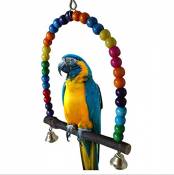 Colorful balançoires Jouets Parrot pour oiseaux perruche