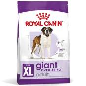 Lot Royal Canin Size grand format x 2 pour chien - Giant Adult (2 x 15 kg)
