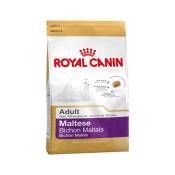 Royal Canin - Maltese Adult 1,5 kg Nourriture sèche pour Bichon Maltais adulte Pour soutenir le pelage et la digestion Avec epa & dha Pour les chiens