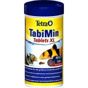 TabiMin XL alimentation pour poissons de fond 133 comprimés - Tetra