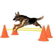 Vidaxl - Ensemble d'obstacles d'activité pour chien Orange et jaune