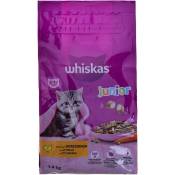Whiskas - Junior 2-12 Poulet - nourriture sèche pour chats - 1,4 kg