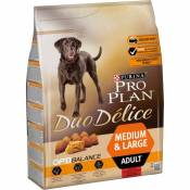 Duo Delice Adult Dog B&#156;uf 10 KG Pro Plan