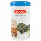 Gammarus pour tortues aquatiques 250 ml