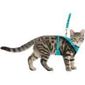 Harnais Y en maille avec laisse anti secousses, entièrement élastique pour chat - animallparadise - Multicolor