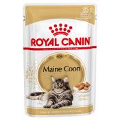 12x85g Maine Coon Adult en sauce Royal Canin Breed