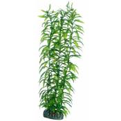 Hobby - Heteranthera, Plante d'aquarium artificielle pour la décoration - 34 cm