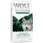 12kg "Explore The Vast Forests" Weight Management Wolf
