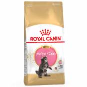 2x10 kg Maine Coon Kitten Royal Canin - Croquettes