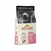 Almo Nature Croquettes Chiot - Holistic Large-Almo