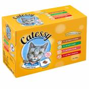 48x100 g Bouchées en gelée 4 saveurs Catessy pour chat