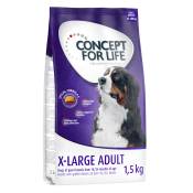 Offre d'essai : croquettes Concept for Life 1 kg ou 1,5 kg pour chien - X-Large Adult (1,5 kg)