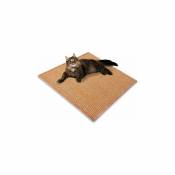 Tapis à gratter en sisal pour chats 50 x 80 cm Abricot de terre - Terre