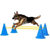 Vidaxl - Ensemble d'obstacles d'activité pour chien