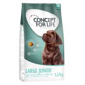 Offre d'essai : croquettes Concept for Life 1 kg ou 1,5 kg pour chien - Large Junior (1,5 kg)