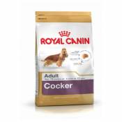 Royal Canin - Croquettes Cocker pour Chien Adulte -