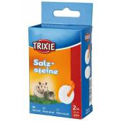 Trixie - Pierres de sel avec support 2 × 54 g